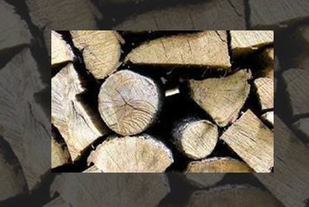 Seasoned Pine Wood